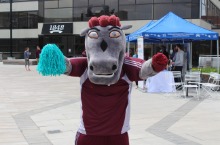 Mascot