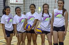 Volleyball Uottawa Gee Gees